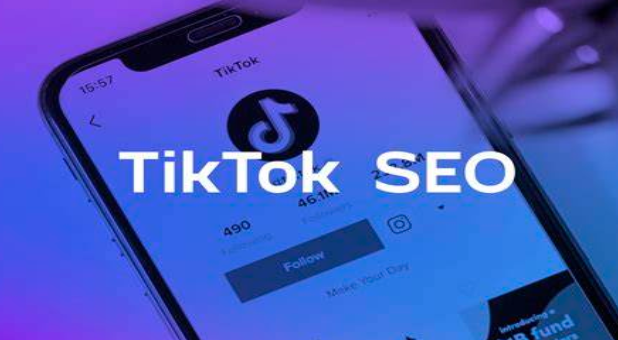 如何在TikTok上利用SEO获取流量？