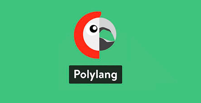 Polylang SEO