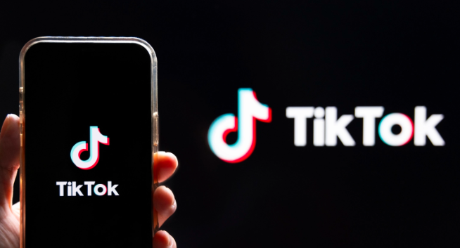 TikTok为独立站引流